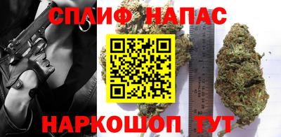 прущие грибы Заволжье